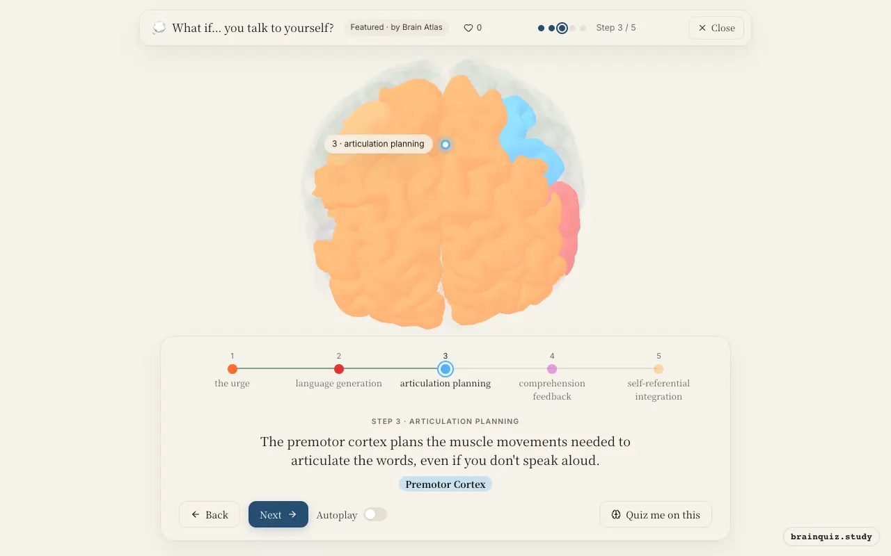 Step 3 of what happens in your brain when you talk to yourself: Prefrontal Cortex, Broca's Area, Premotor Cortex lit on the Brain Atlas 3D brain