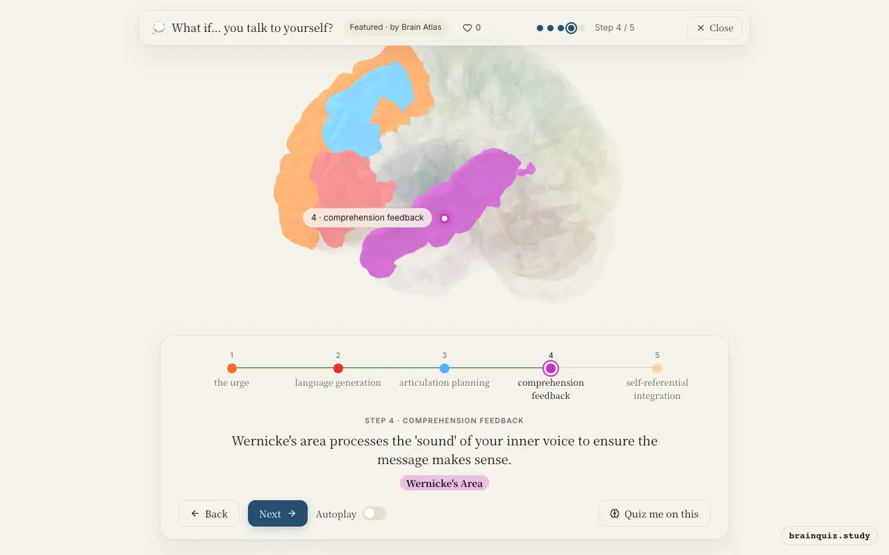 Step 4 of what happens in your brain when you talk to yourself: Prefrontal Cortex, Broca's Area, Premotor Cortex, Wernicke's Area lit on the Brain Atlas 3D brain