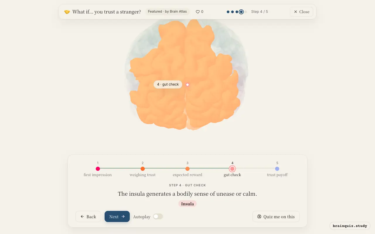 Step 4 of what happens in your brain when you trust a stranger: Amygdala, Prefrontal Cortex, Orbitofrontal Cortex, Insula lit on the Brain Atlas 3D brain