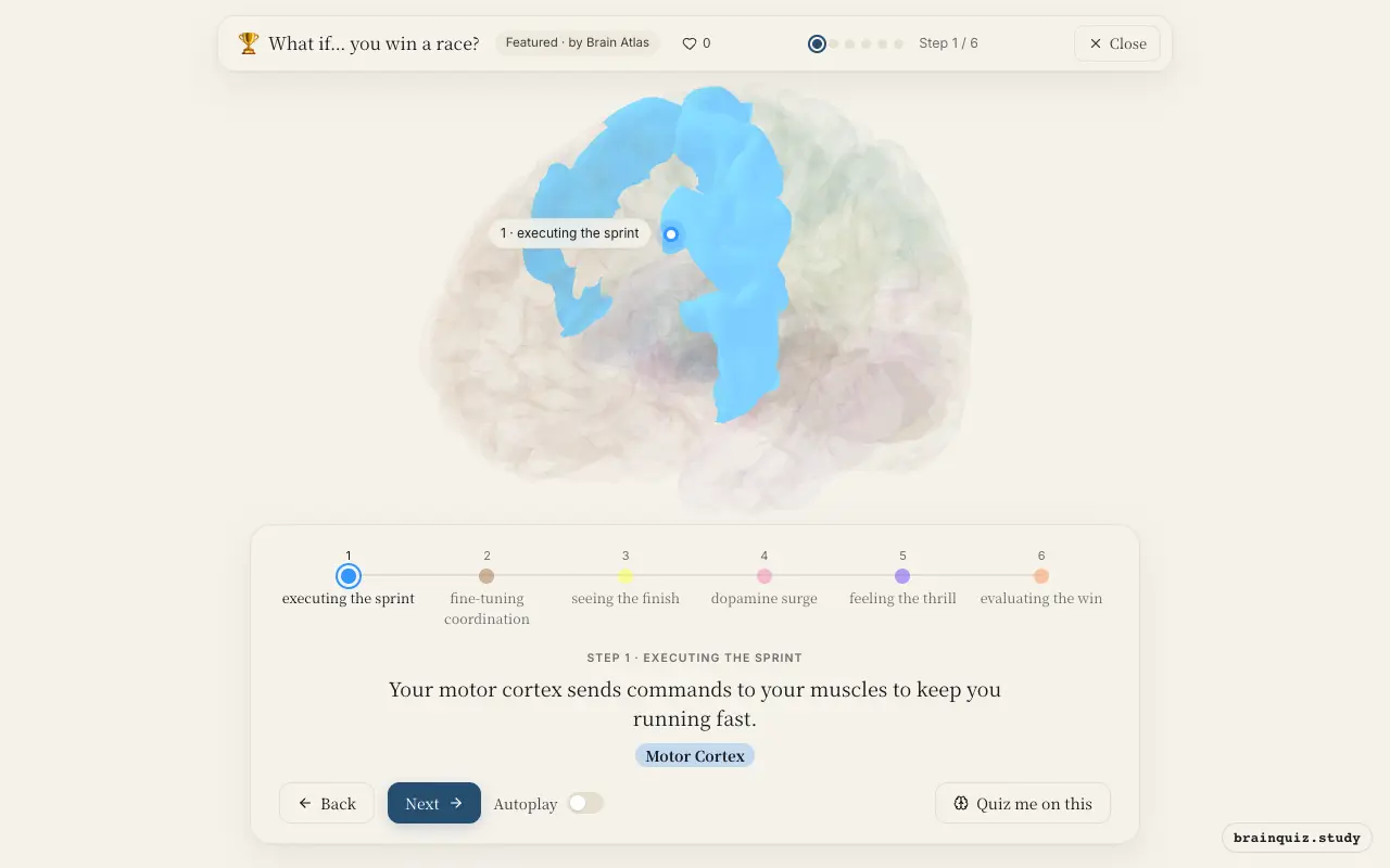 Step 1 of what happens in your brain when you win a race: Motor Cortex lit on the Brain Atlas 3D brain