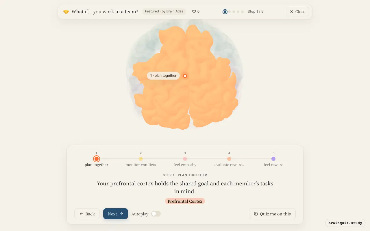 Step 1 of what happens in your brain when you work in a team: Prefrontal Cortex lit on the Brain Atlas 3D brain
