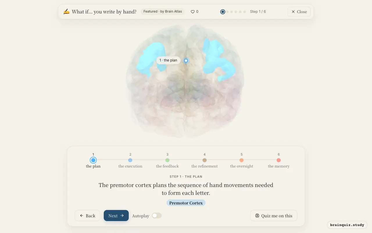 Step 1 of what happens in your brain when you write by hand: Premotor Cortex lit on the Brain Atlas 3D brain